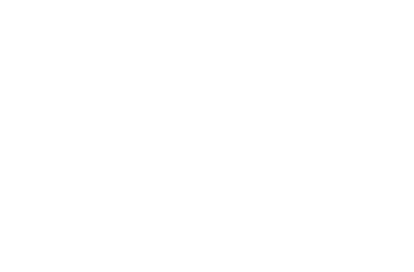 visit-pepin-logo
